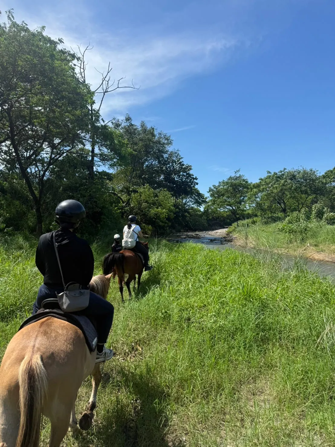 Students on horseback riding along a grass trail outside Clark